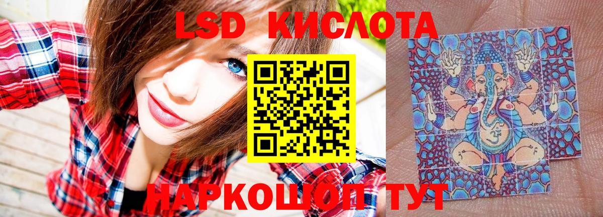 Наркотические марки 1500мкг Губкин