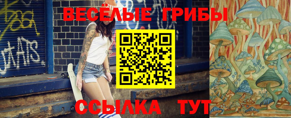 Галлюциногенные грибы GOLDEN TEACHER  Вход с VPN  Губкин 